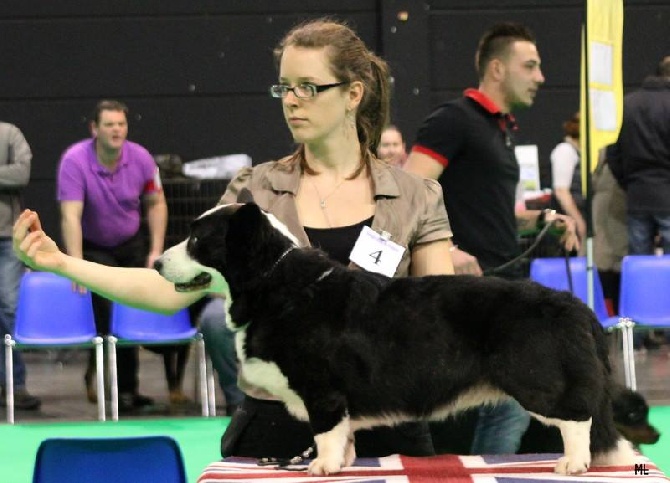 De La Vallée De L'Aumance - Expo Douai + NE 2014